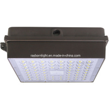60W 80W 100W 120W Surface Recessed Mount Ceiling Installation Gas Station LED Canopy Light